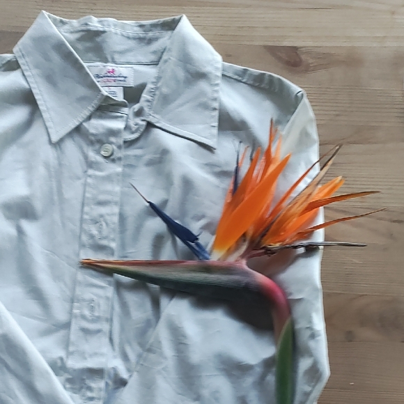 Dress Shirt - Picture 2 of 4